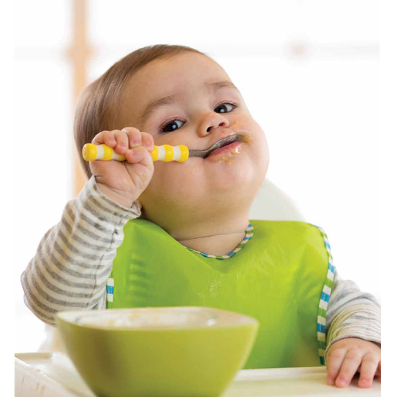 Feeding Therapy & Food Aversion Therapy